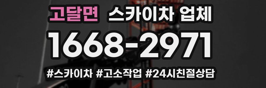 고달면 스카이차 업체
