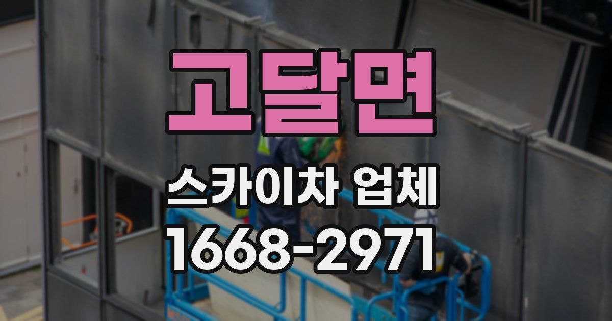 고달면 스카이차 업체