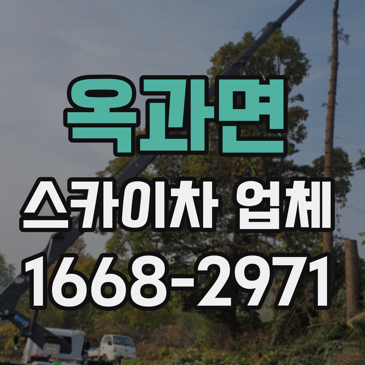 옥과면 스카이차 업체