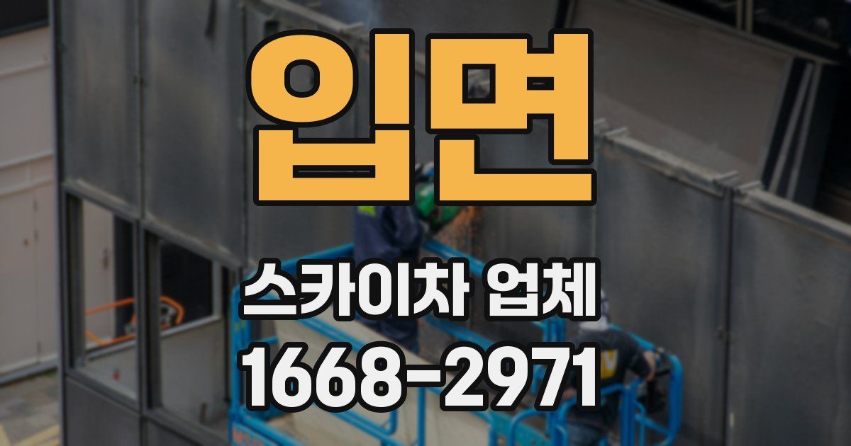 입면 스카이차 업체