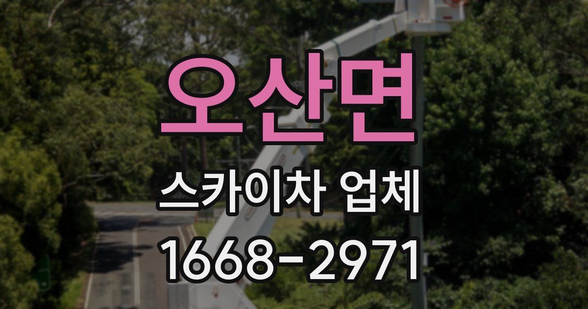 오산면 스카이차 업체