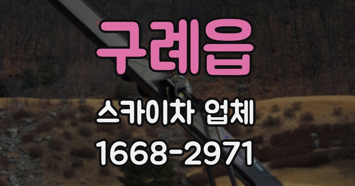 구례읍 스카이차 업체