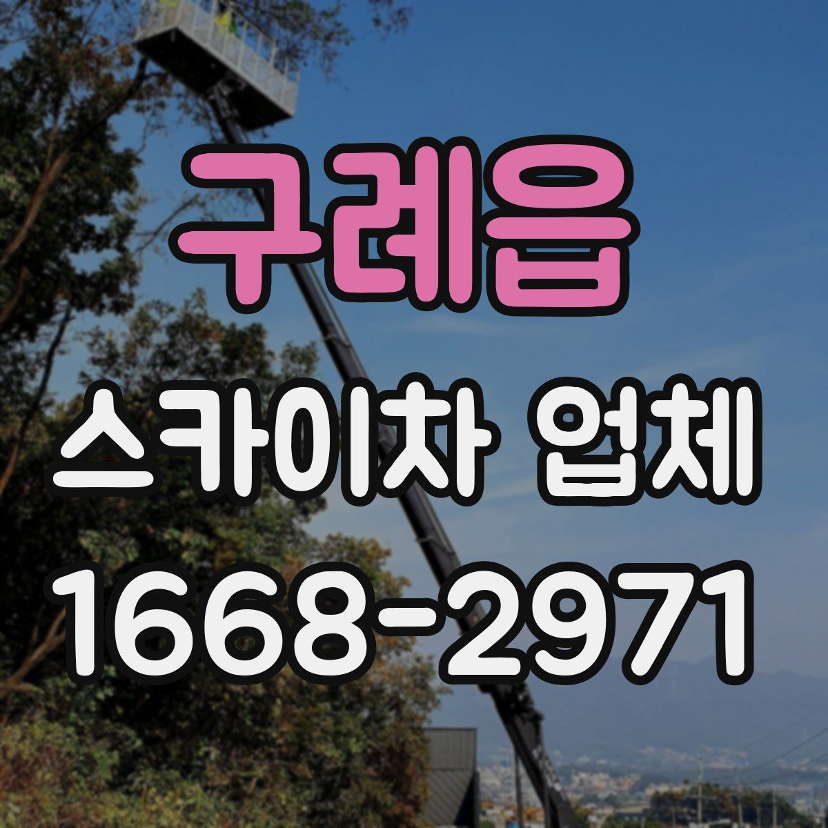구례읍 스카이차 업체
