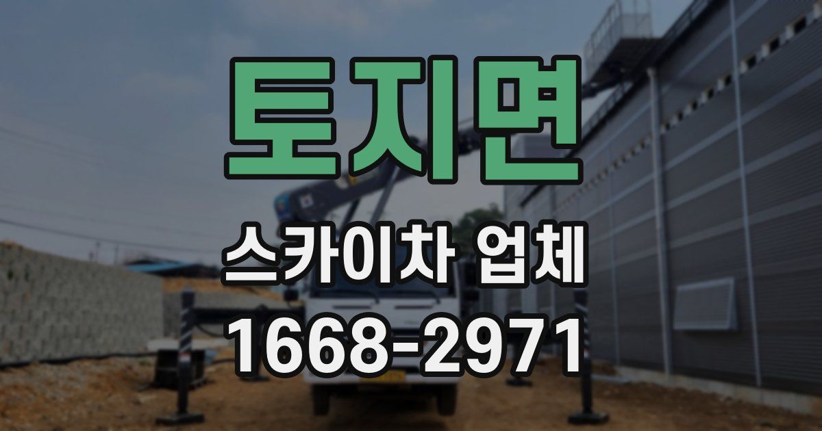 토지면 스카이차 업체
