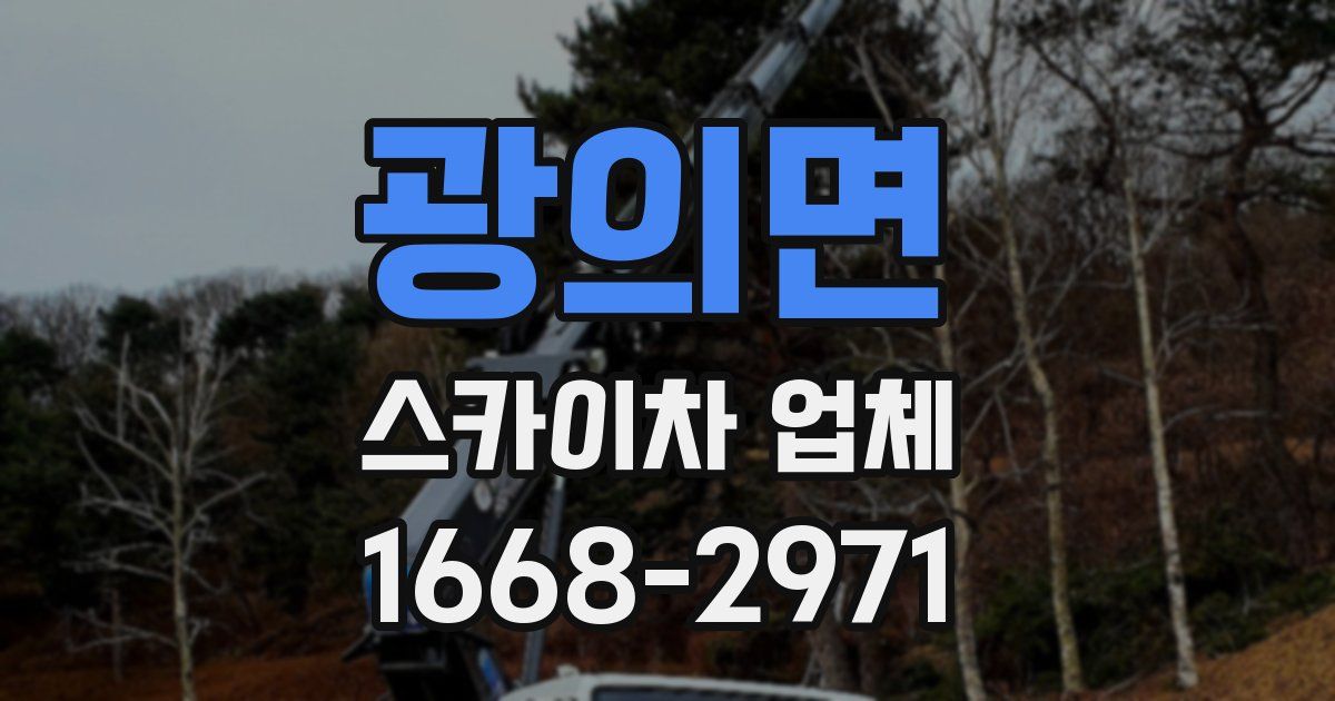 광의면 스카이차 업체