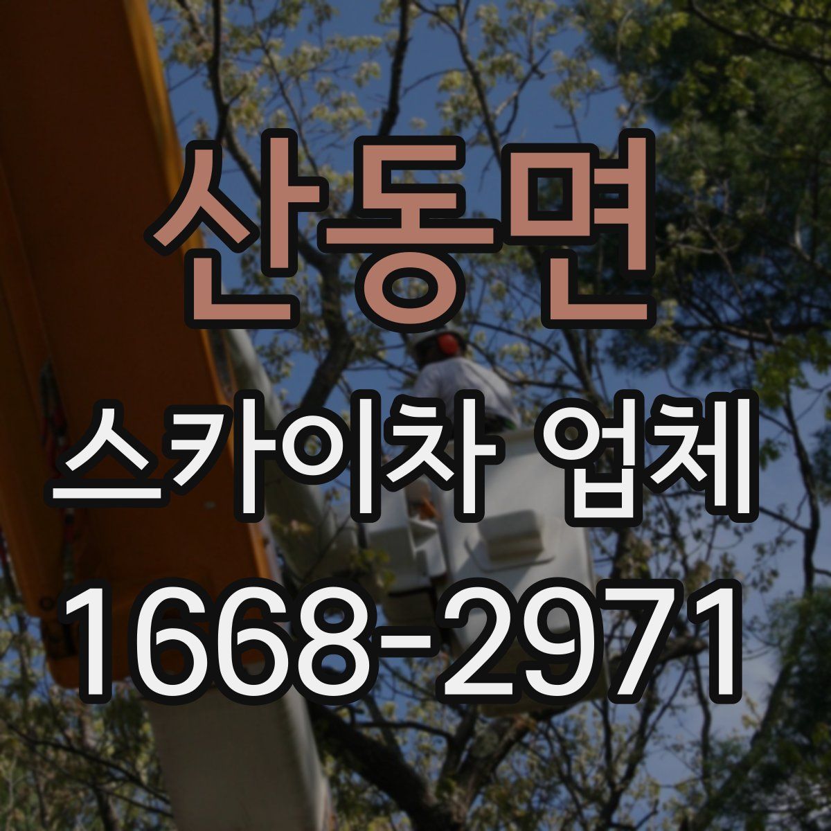 산동면 스카이차 업체
