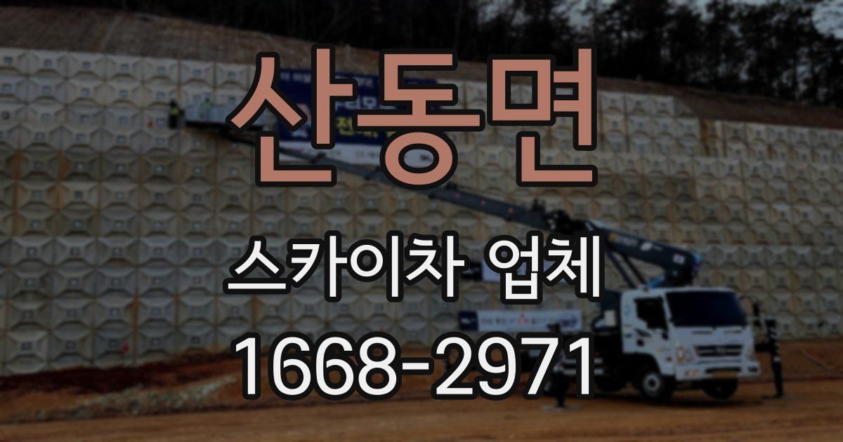 산동면 스카이차 업체