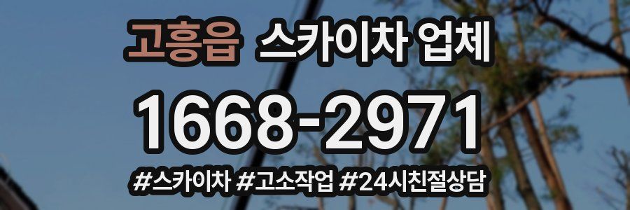고흥읍 스카이차 업체