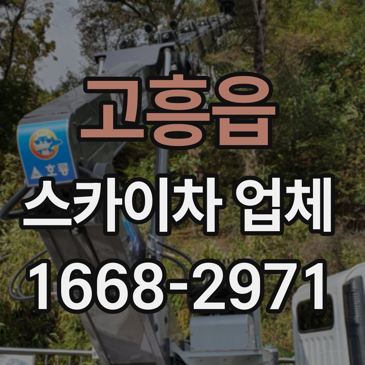 고흥읍 스카이차 업체