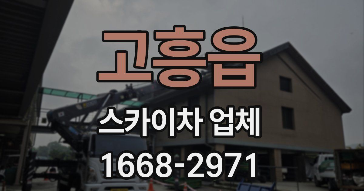 고흥읍 스카이차 업체