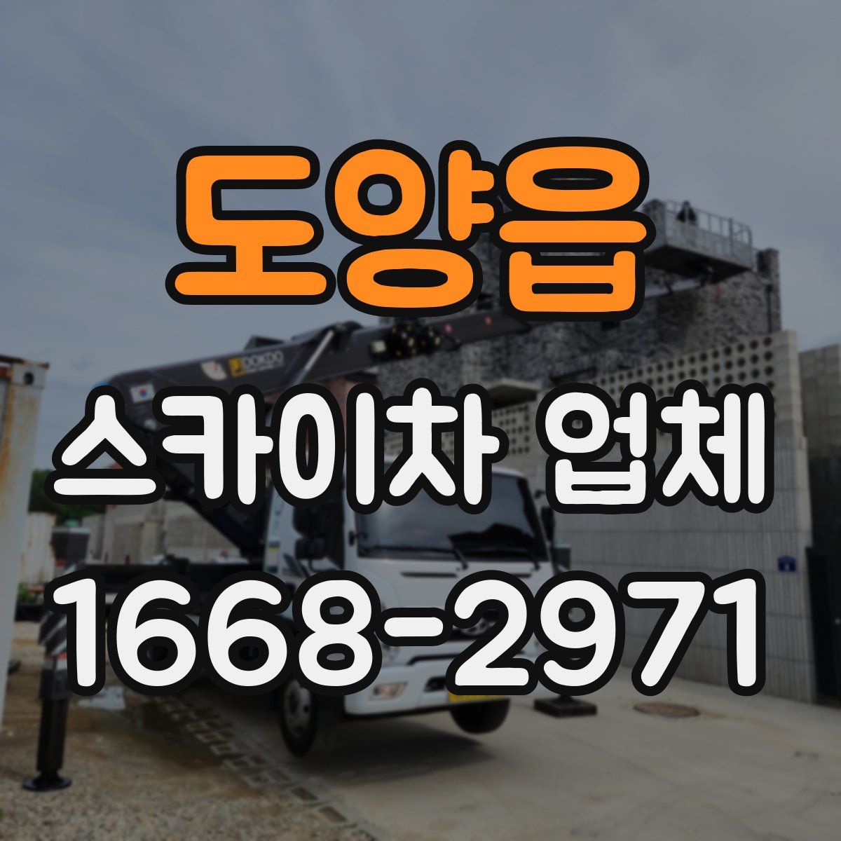 도양읍 스카이차 업체