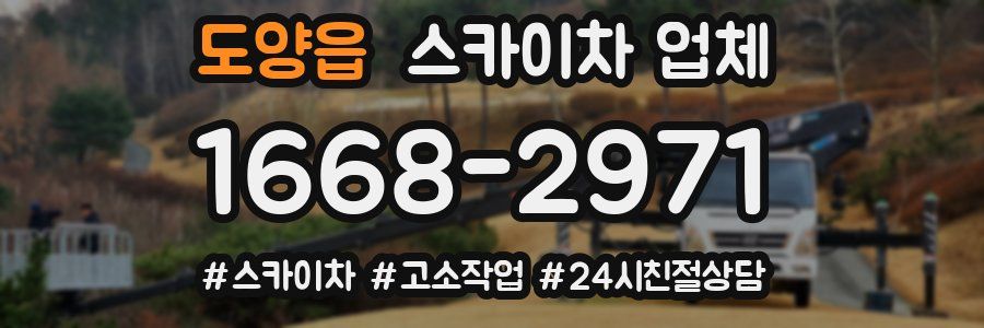 도양읍 스카이차 업체