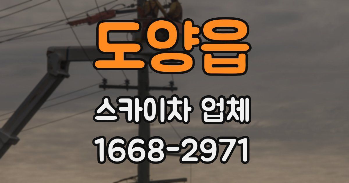 도양읍 스카이차 업체