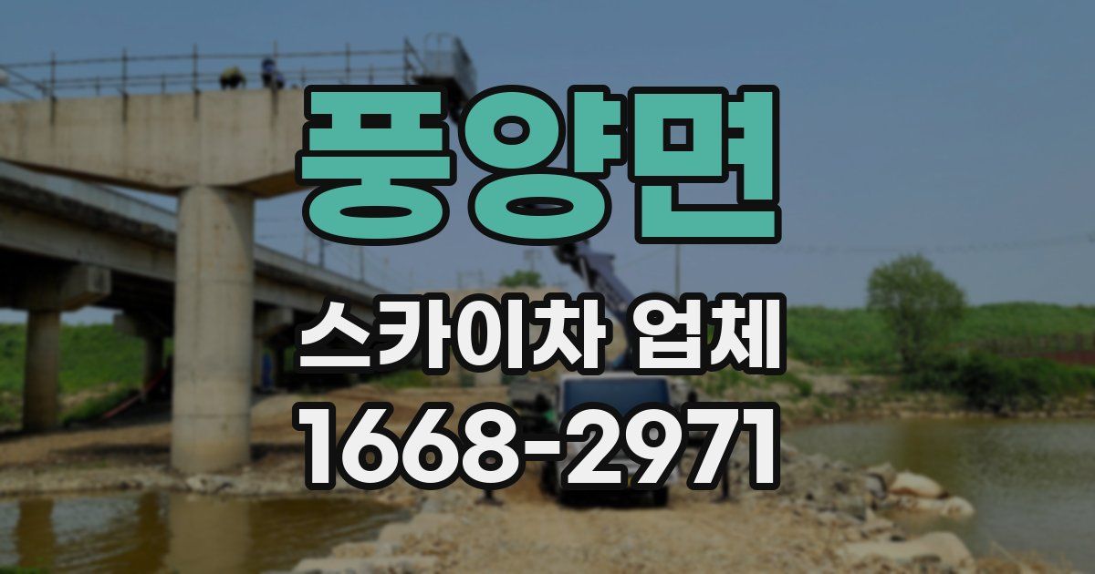 풍양면 스카이차 업체