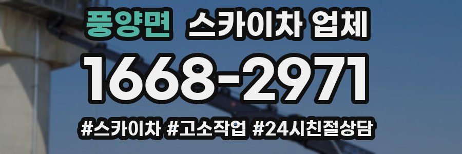 풍양면 스카이차 업체
