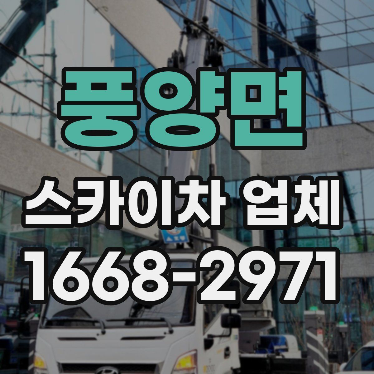 풍양면 스카이차 업체
