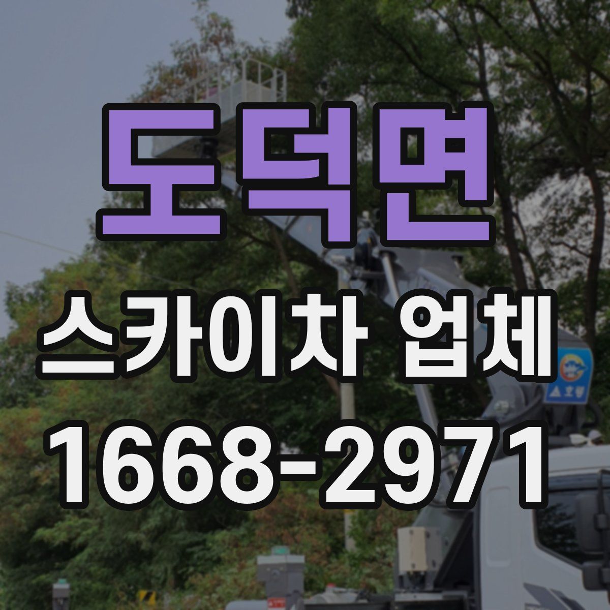 도덕면 스카이차 업체