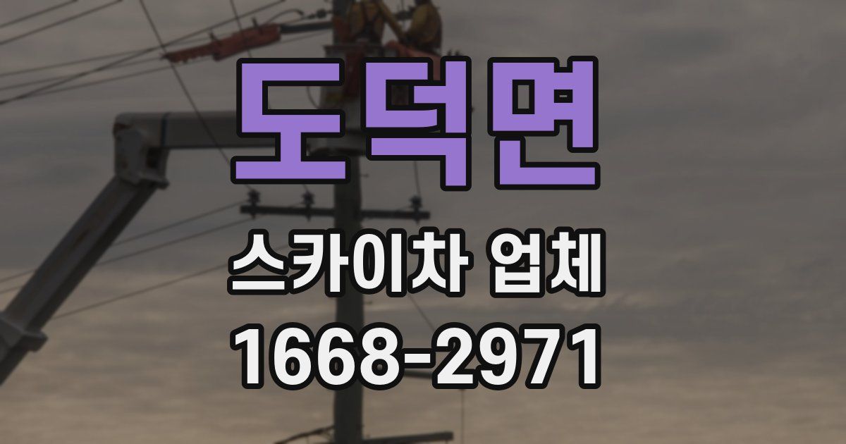 도덕면 스카이차 업체
