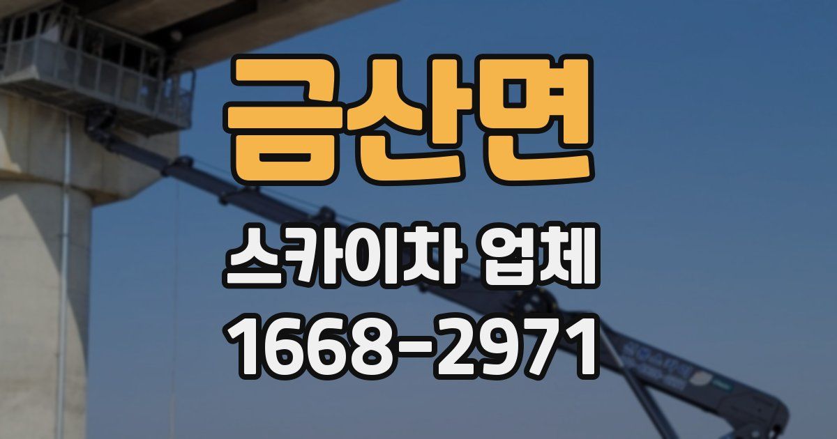 금산면 스카이차 업체
