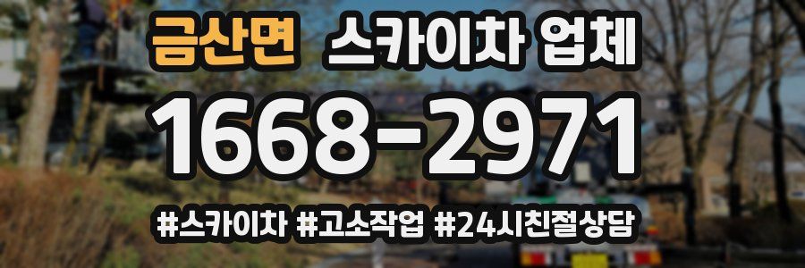 금산면 스카이차 업체