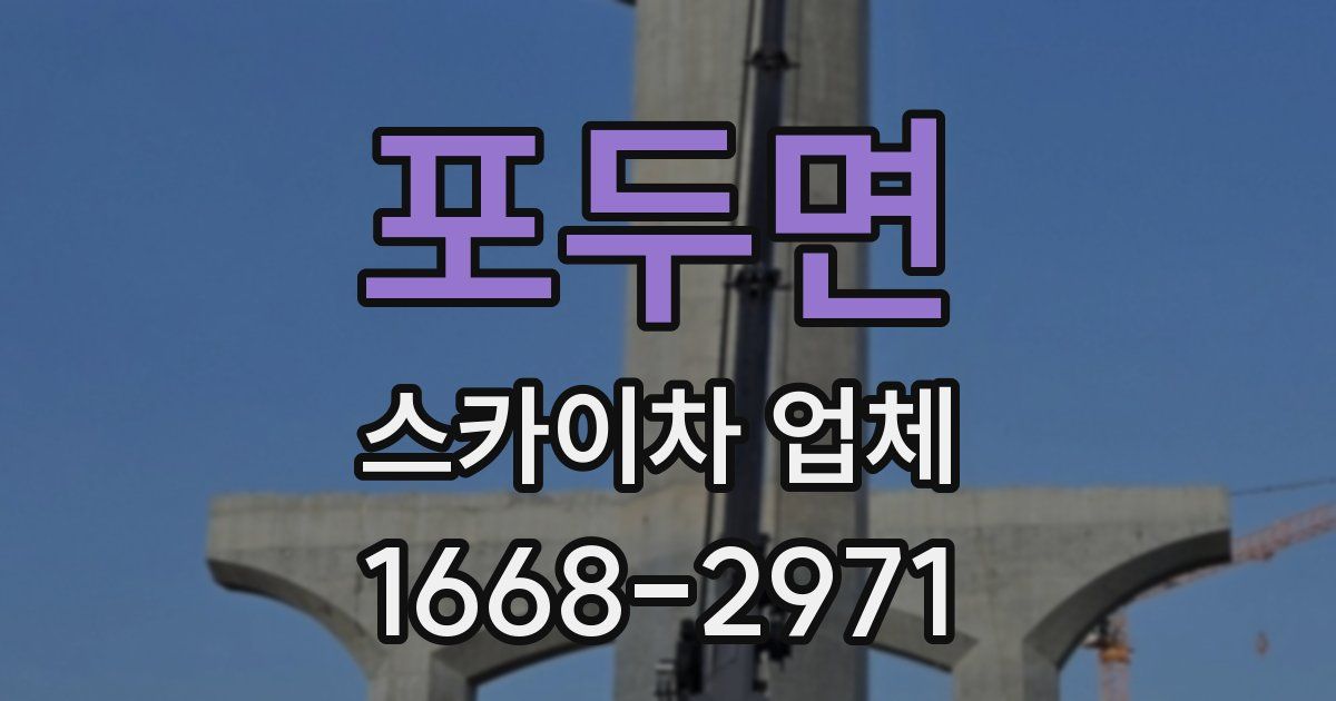 포두면 스카이차 업체