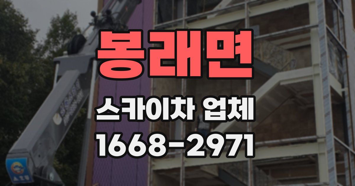 봉래면 스카이차 업체