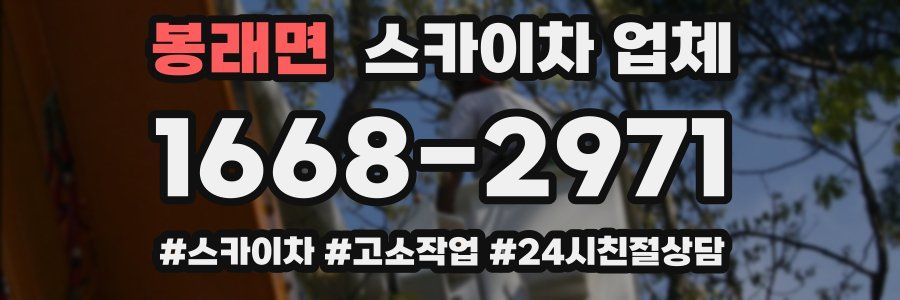봉래면 스카이차 업체