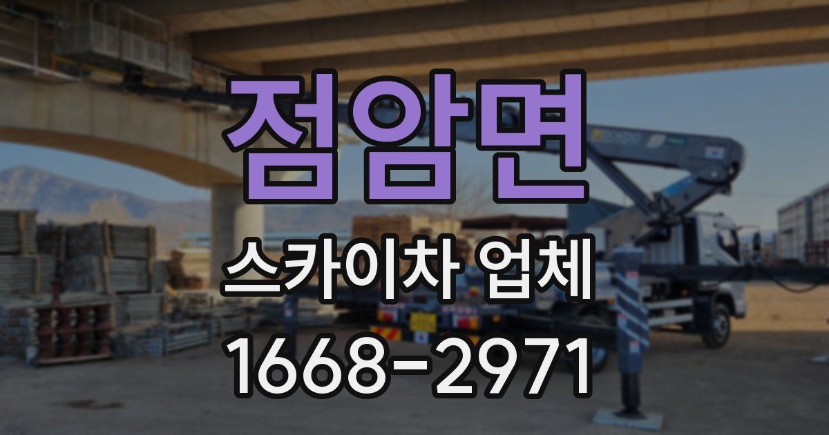 점암면 스카이차 업체