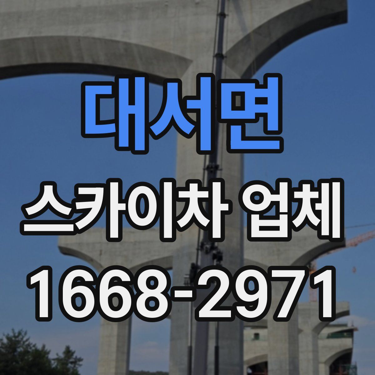 대서면 스카이차 업체