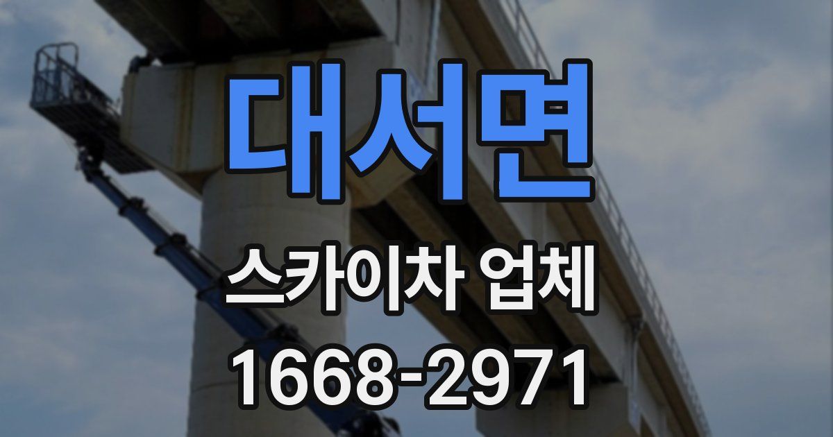 대서면 스카이차 업체