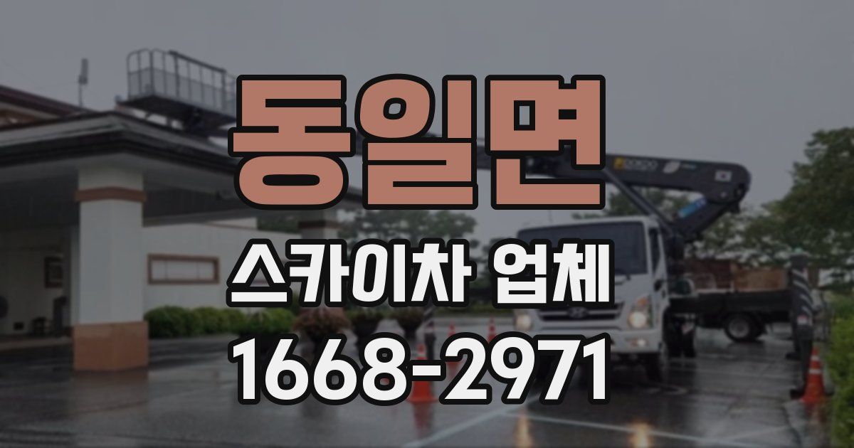 동일면 스카이차 업체