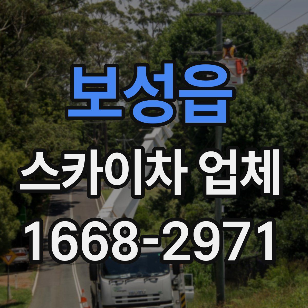 보성읍 스카이차 업체