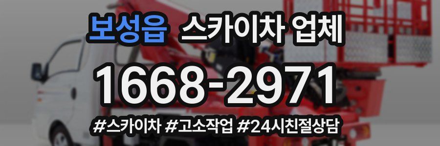 보성읍 스카이차 업체