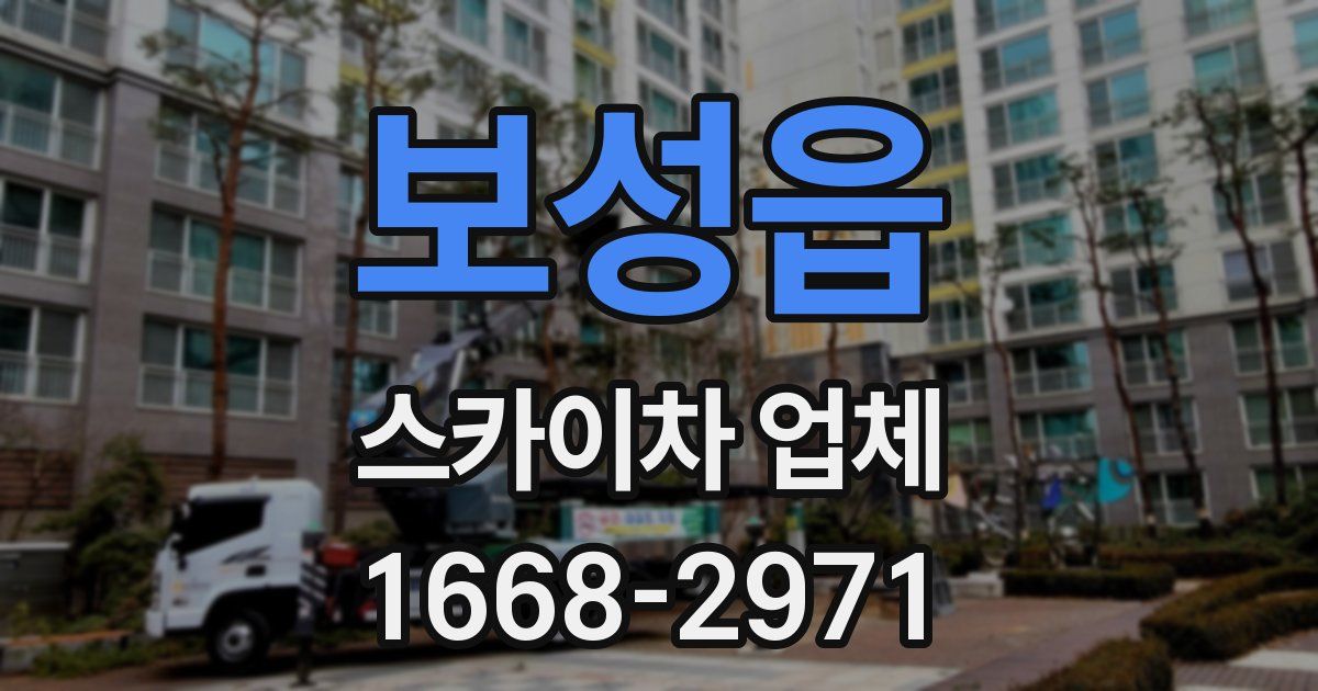 보성읍 스카이차 업체