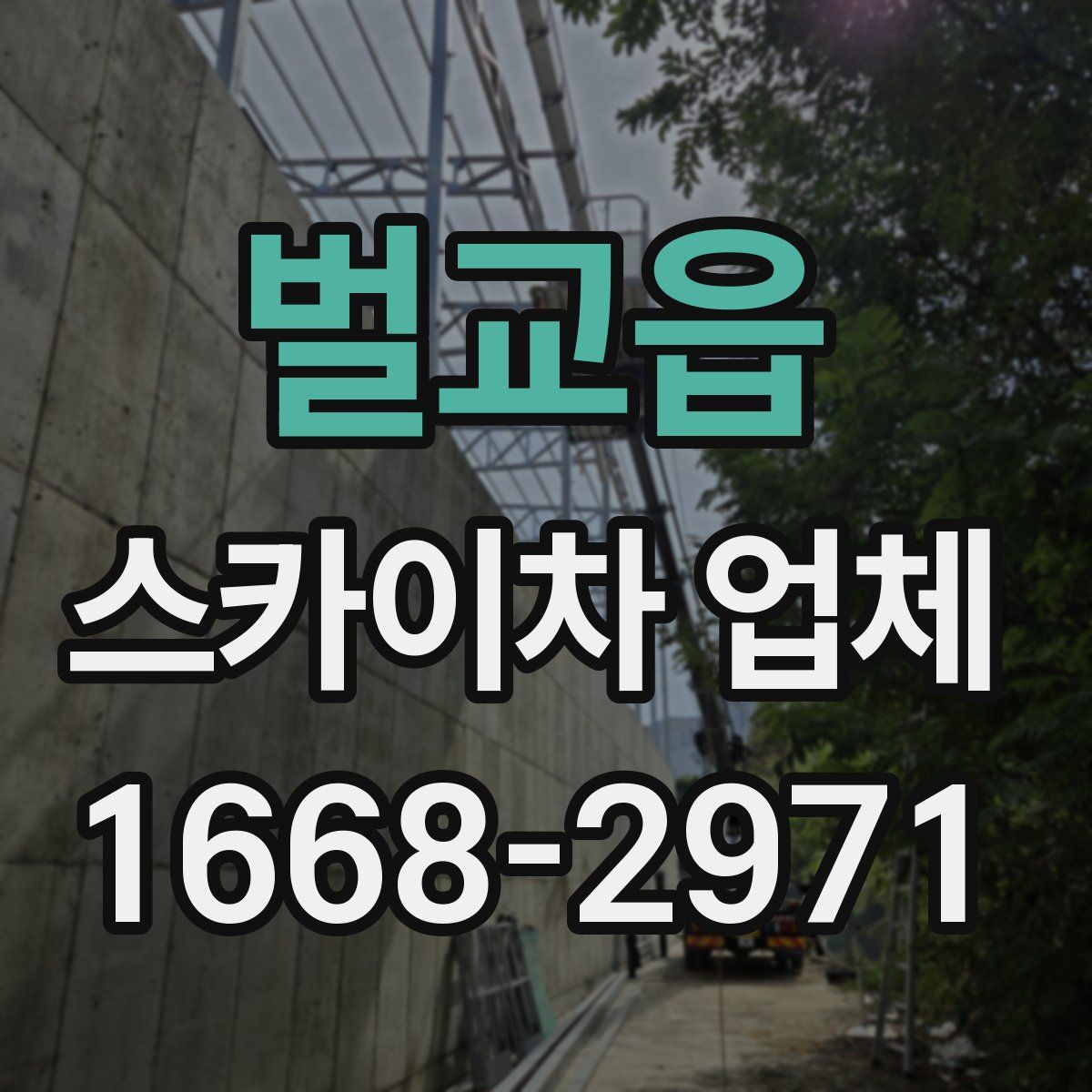 벌교읍 스카이차 업체