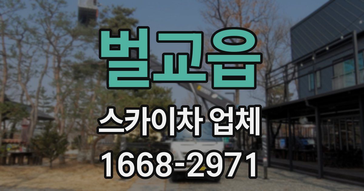 벌교읍 스카이차 업체