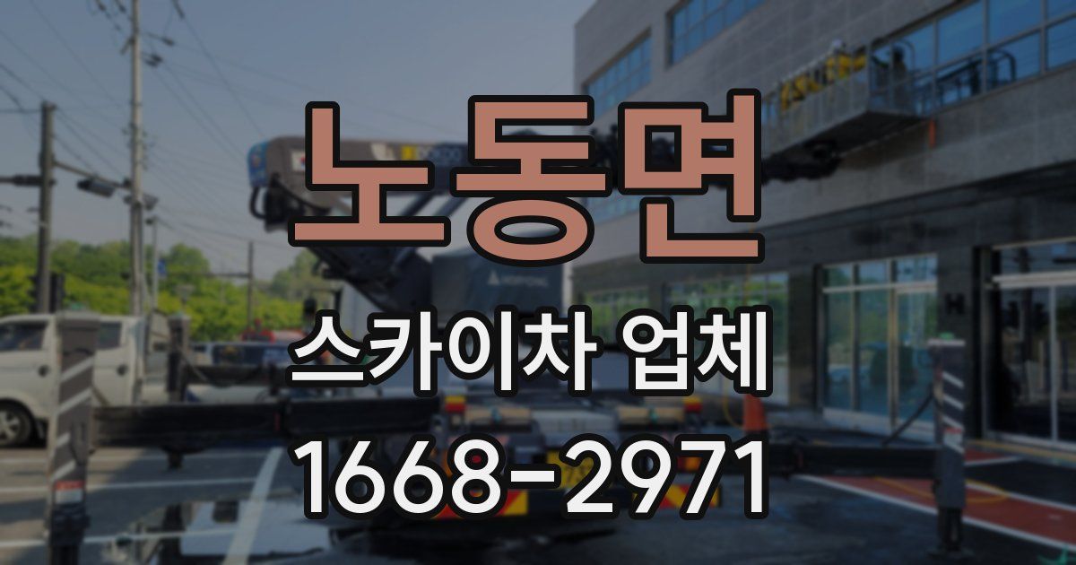 노동면 스카이차 업체