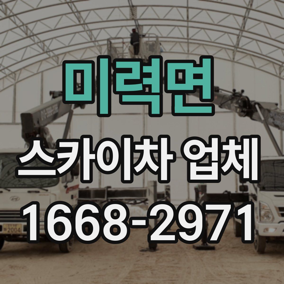 미력면 스카이차 업체