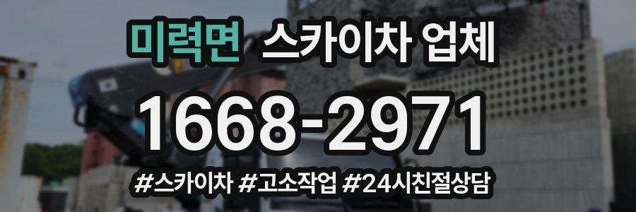 미력면 스카이차 업체