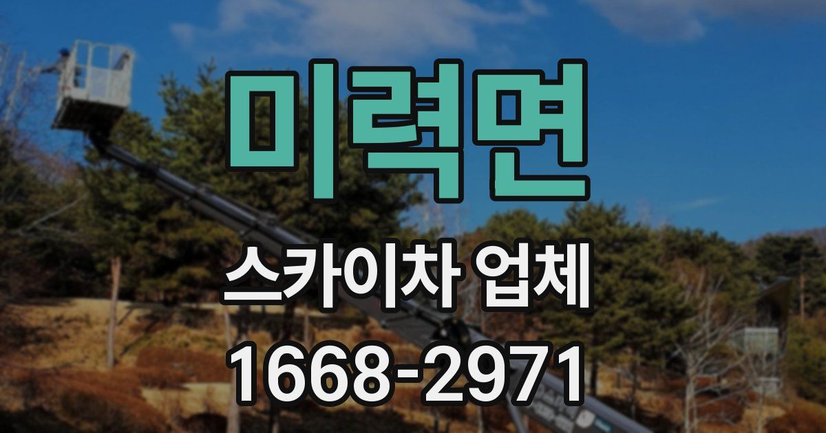 미력면 스카이차 업체