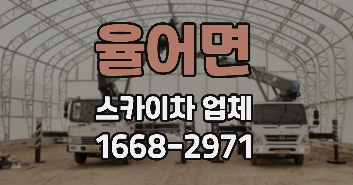 율어면 스카이차 업체
