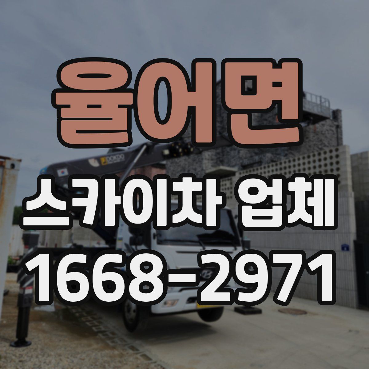 율어면 스카이차 업체