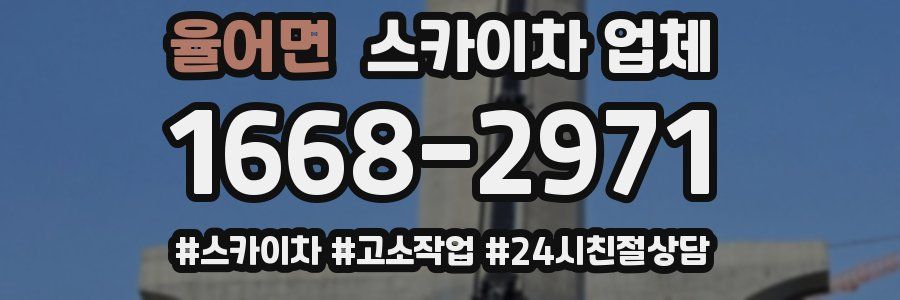 율어면 스카이차 업체