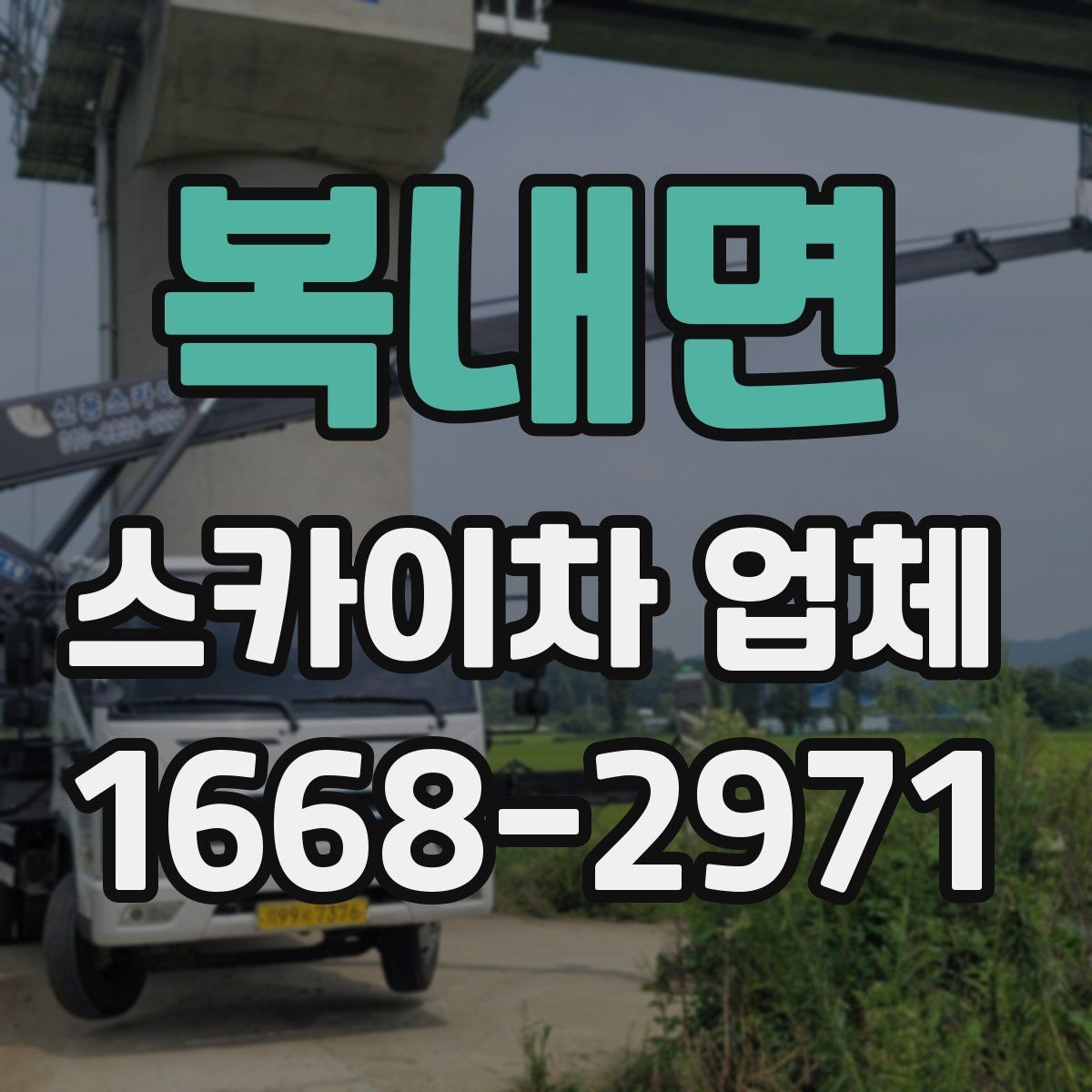 복내면 스카이차 업체 운영 시간과 예약 팁