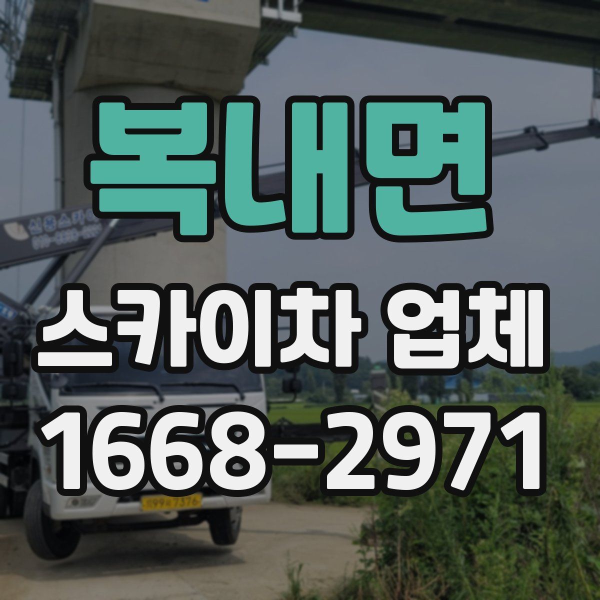 복내면 스카이차 업체