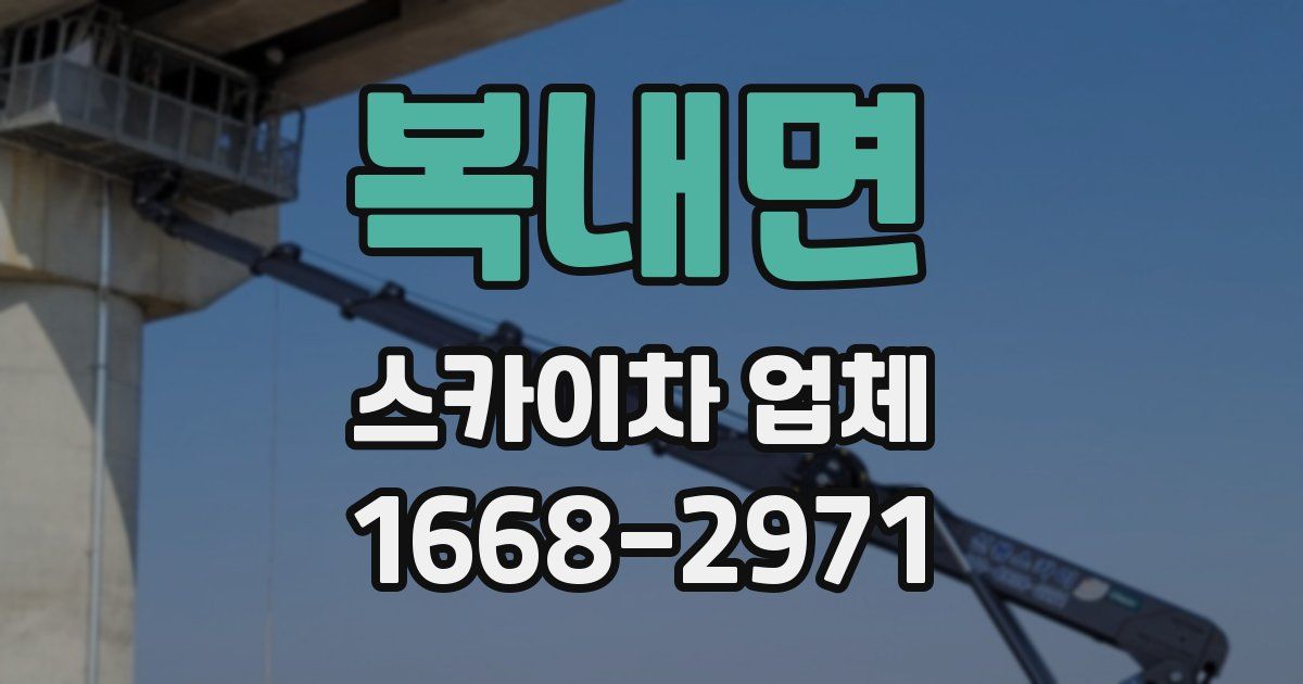 복내면 스카이차 업체