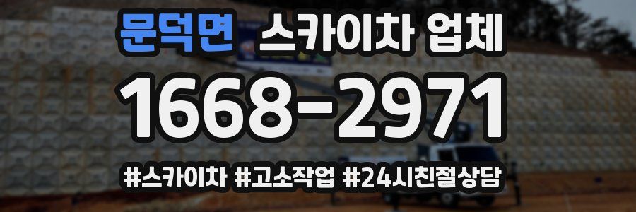 문덕면 스카이차 업체