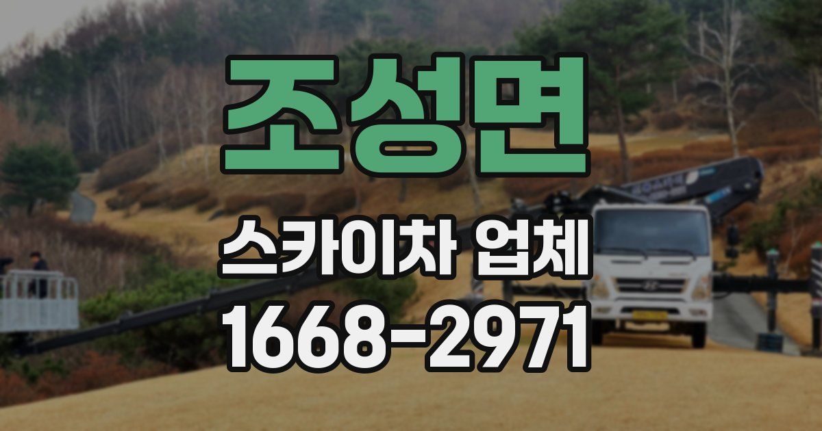조성면 스카이차 업체