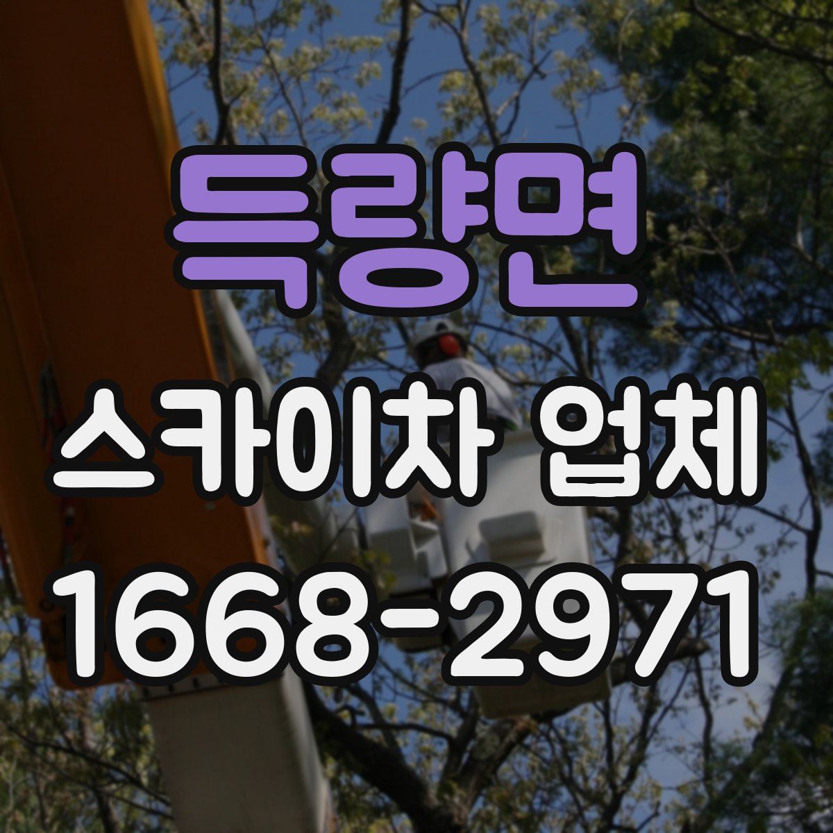 득량면 스카이차 업체