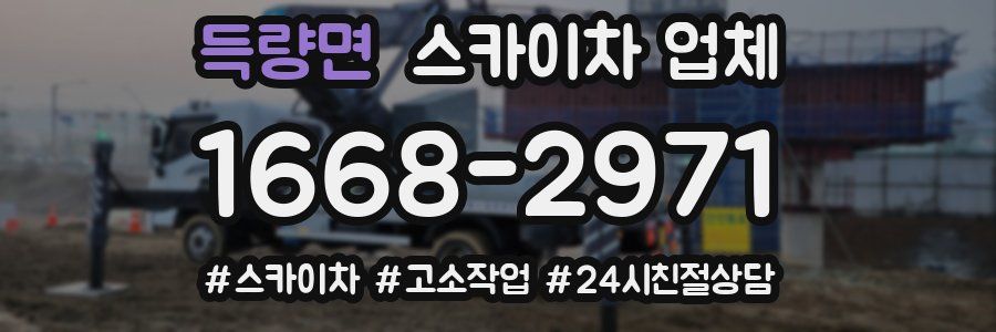 득량면 스카이차 업체